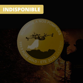 Soldats du feu - 1/10 once or. Hommage aux pompiers